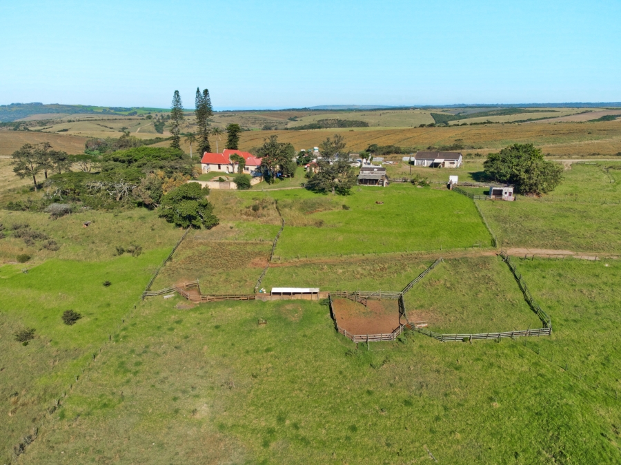 5 Bedroom Property for Sale in East London Rural Eastern Cape